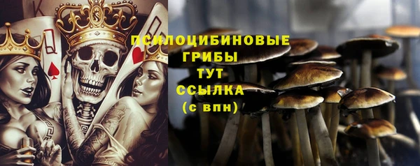 ALPHA-PVP Алексин